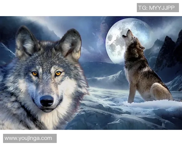 门兴德拉格巴赫与勒沃库森的激烈对决展现足球魅力与战术智慧